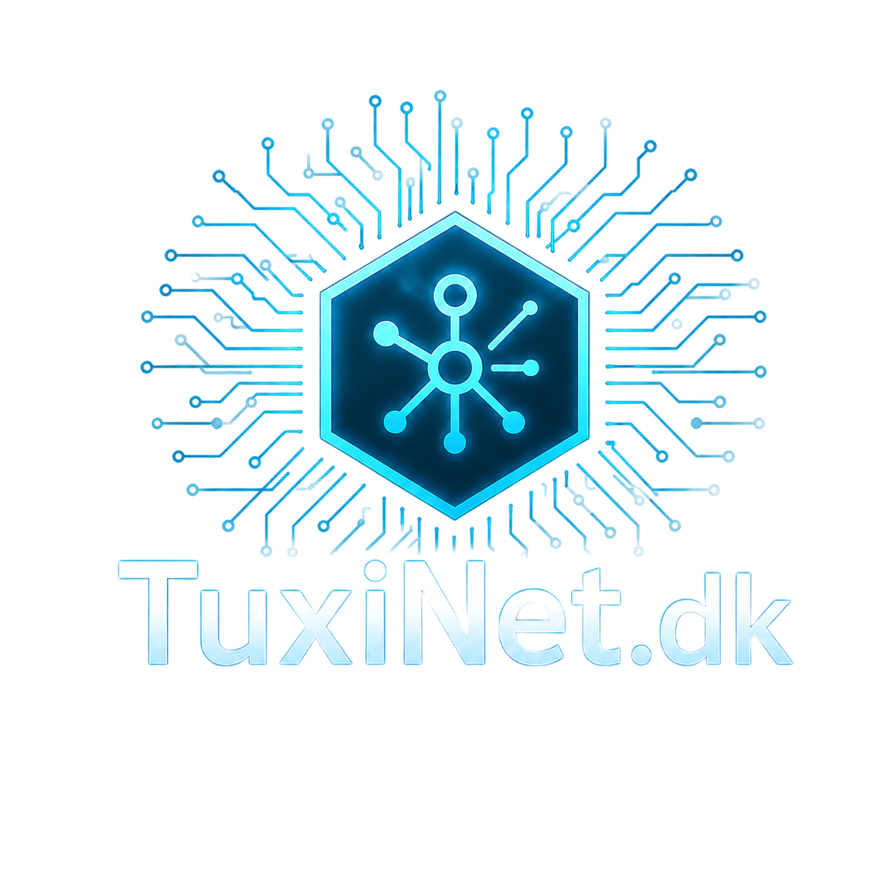 TuxiNet.dk logo